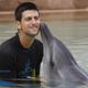 Illustration for article titled Deprived Of His Poodle, Serial Animal-Lover Novak Djokovic Seeks Companionship From Squirrel
